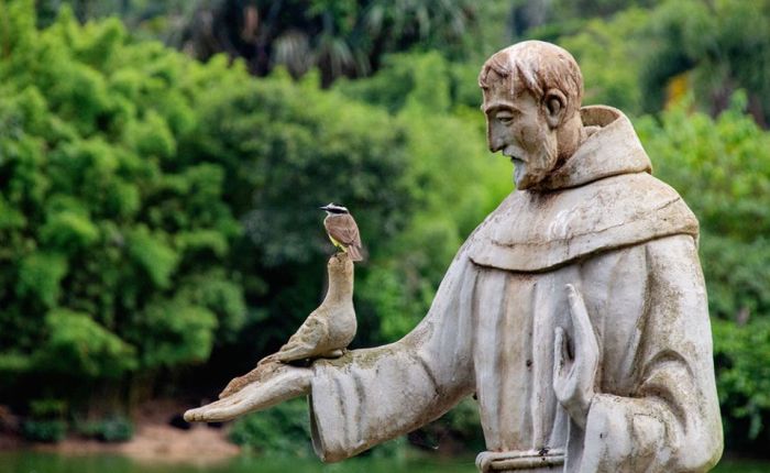 The Prayers of the People for St. Francis of Assisi (Season of Creation)